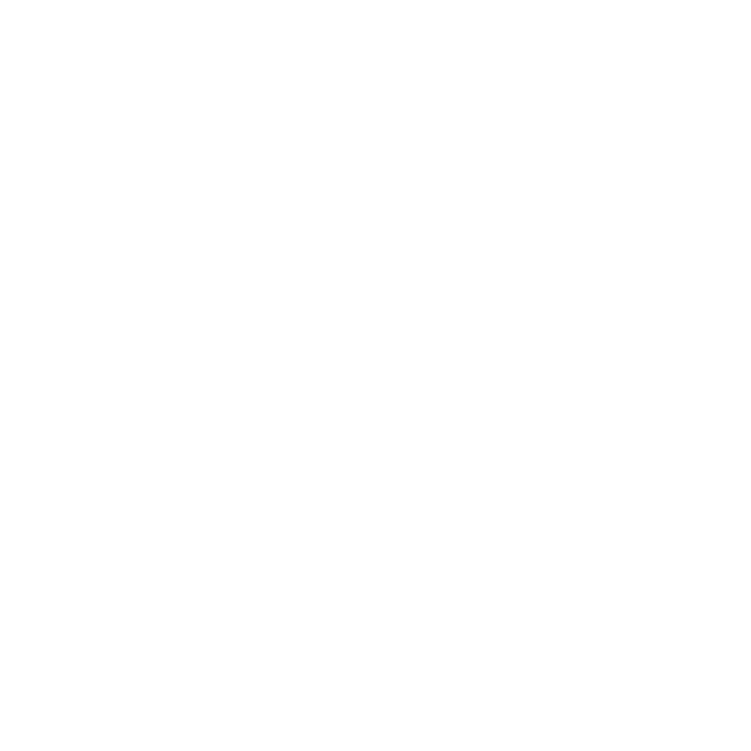 NSKart